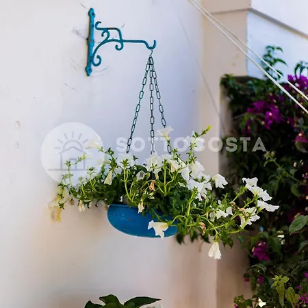 Panzió Be Nature 4*