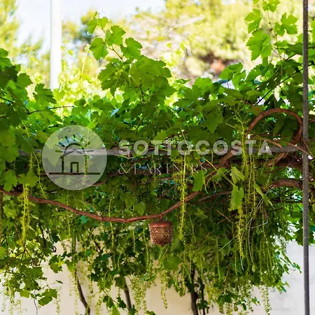 Bed & Breakfast Be Nature Porto Cesareo