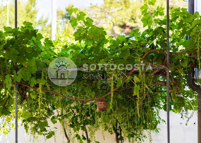 Bed & Breakfast Be Nature Porto Cesareo